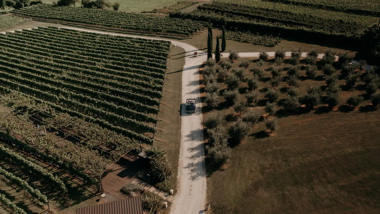 Tenuta Serradesca - foto 4